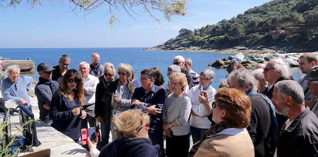 Nurseries Purticciolu