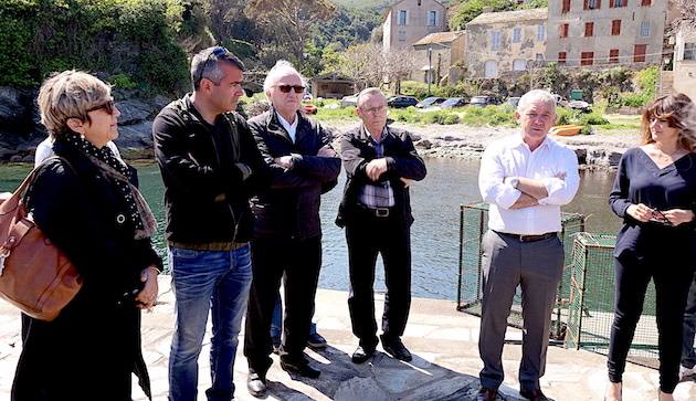 Nurseries Purticciolu