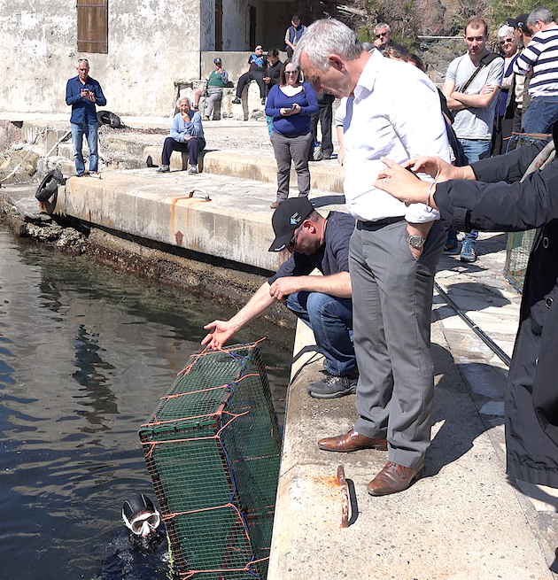 Nurseries Purticciolu