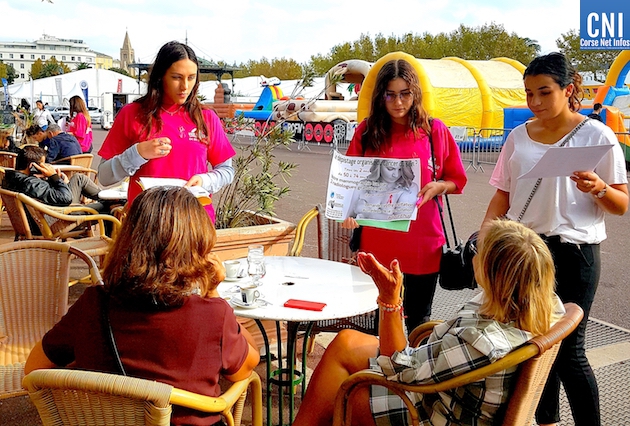 Arcodeca-Lycée Jean Nicoli