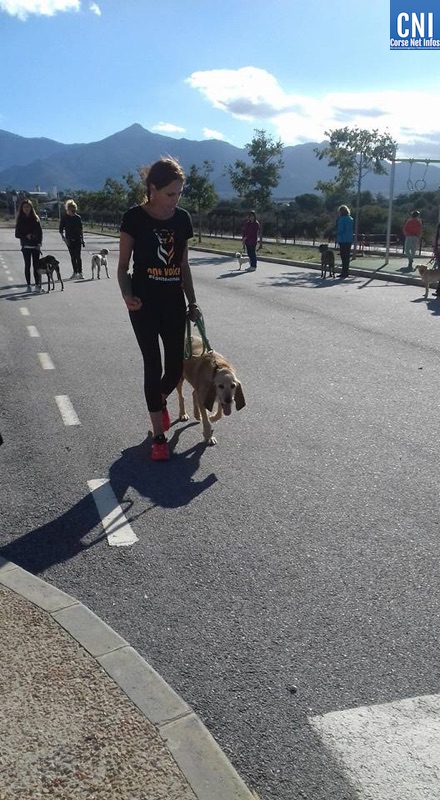 Nos amis à quatre pattes