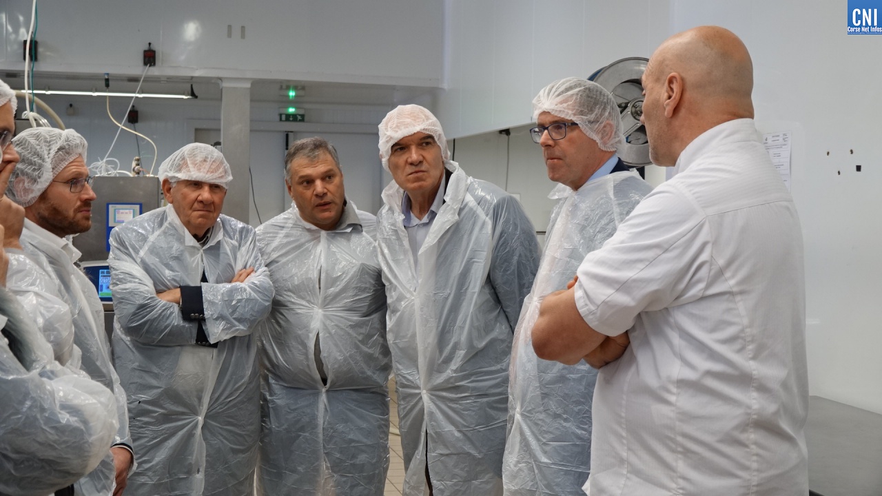 "L'Isle aux desserts" José Salge