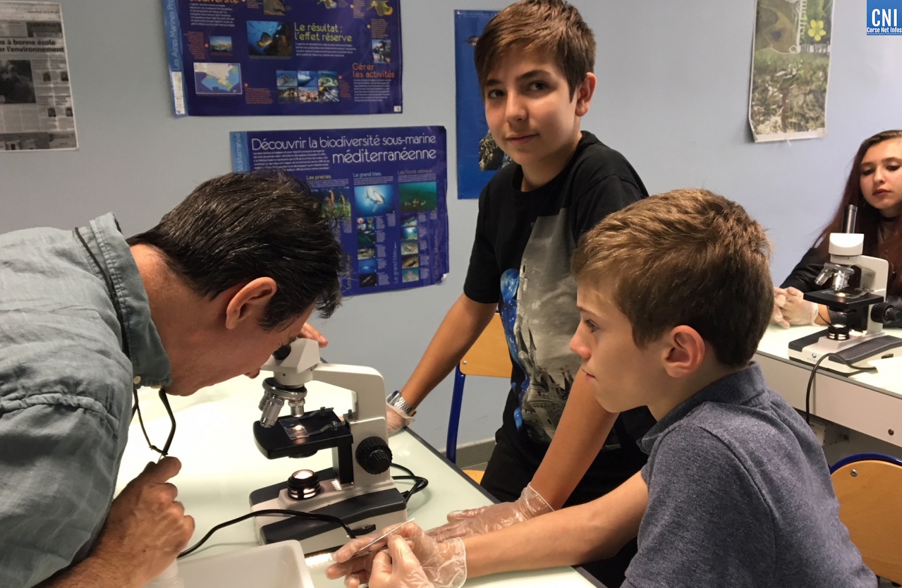 Chercheur à l'école