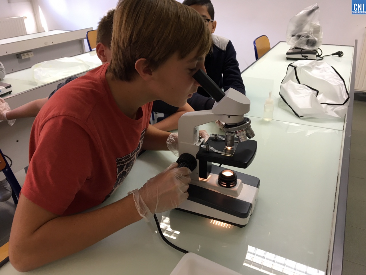 Chercheur à l'école