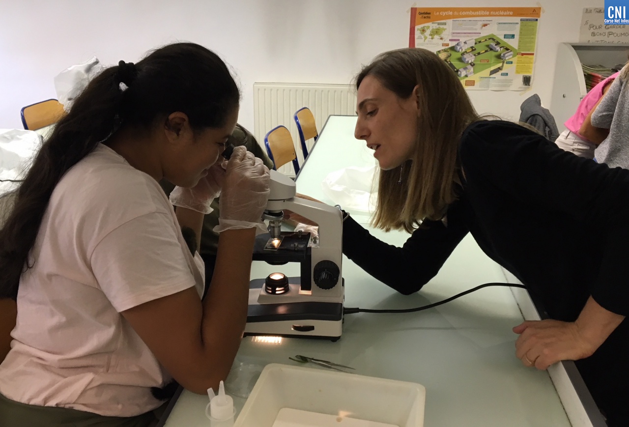 Chercheur à l'école