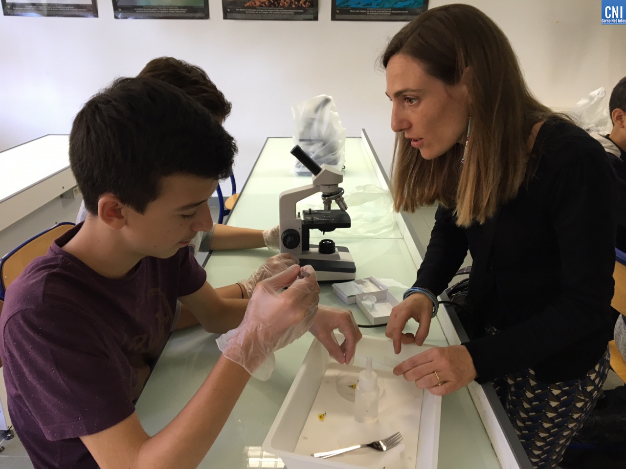 Chercheur à l'école